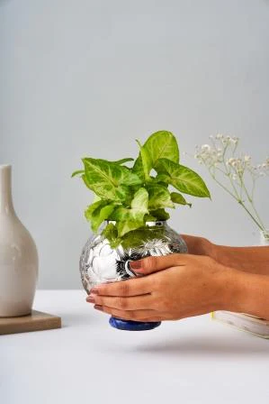 Leaf Vase Large – Elegant Stainless Steel Home Decor - Image 3
